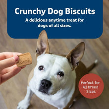 BlueBuffaloHealthBarsBacon_Egg_CheeseCrunchyDogTreats_5lbs.4 - USA Mega Market