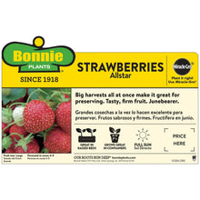 Bonnie-Plants-Strawberry-Live-Pl6 - USA Mega Market