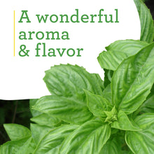 Bonnie-Plants-Sweet-Basil-19-3-o3 - USA Mega Market