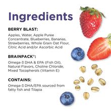 BrainiacFruitandOatSmoothiePouches_20pk.3 - USA Mega Market