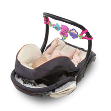 Bright Starts Busy Birdies Carrier Toy Bar Musical Take-Along Toy with Lights, Ages Newborn +