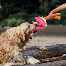 BuddyBuddyFlamingoLongRopeDogToy2-_2 - USA Mega Market