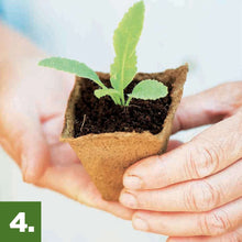 Burpee-Eco-Friendly-Natural-Orga11-_12 - USA Mega Market