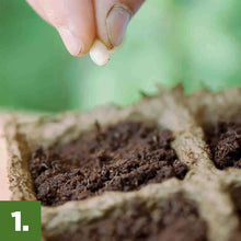Burpee-Eco-Friendly-Natural-Orga8-_9 - USA Mega Market
