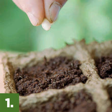 Burpee Eco-Friendly Natural & Organic Seed Starting Mix, 12 Quart Soil
