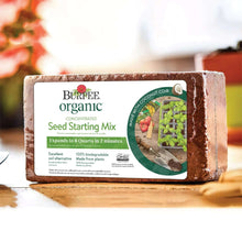 Burpee-Organic-Concentrated-Seed2-_3 - USA Mega Market