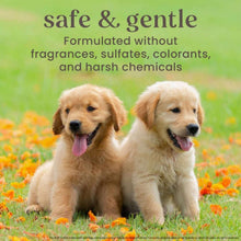 Burt-sBees-OatmealDogShampoo-32fl-oz-2pk-3-_5 - USA Mega Market