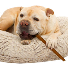 CadetTOROBullyHideChewsAll-NaturalDogChews9-1212-count-2-pack1-_2_f9f09652-6572-466f-83db-149a8a835d80 - USA Mega Market