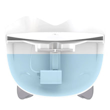 CatitPixiFountain_ComboKit1 - USA Mega Market