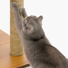 Árbol para gatos Catit Vesper High Base XL de 157 cm (62 pulgadas), 5 niveles y 1 casita, color nogal 