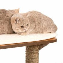 Catit Vesper High Base XL 62 inch Cat Tree, 5 Levels and 1 Condo, Walnut