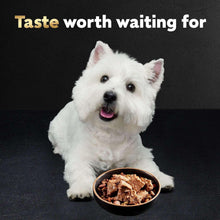 CesarClassicLoafinSauceWetDogFoodVarietyPack-3-5oz-48ct-2-_8 - USA Mega Market