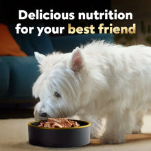 CesarClassicLoafinSauceWetDogFoodVarietyPack_3.5oz._48ct.1_c38b9755-822f-44b5-b028-87088c508acb - USA Mega Market