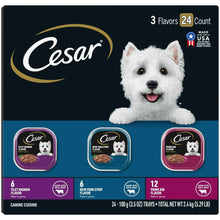 CesarFiletsInGravyVarietyPackWetDogFoodForAdultDogs-3-5OzTray-24Pack-_1 - USA Mega Market