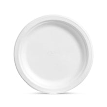 Chinet Classic 10.375" Dinner Plates, 165 ct.