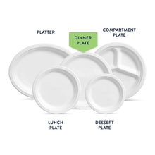 Chinet Classic 10.375" Dinner Plates, 165 ct.