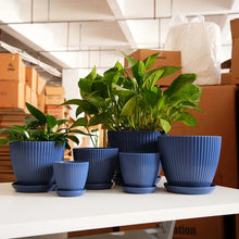 Clearance-Flower-Pots-Indoor-Thicken-Planter-Hole-Tray-House-Plants-Reliable-Plastic-Ripple-Pattern-Flowerpot-Home-Garden-Housewares-Dark-Blue-9-8CM_b8982dcb-a1ef-4a2f-afe2-9fd8d2e2a3 - USA Mega Market