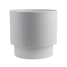 CostaFarmsCatPalmHouseplantinDecorPlanter - USA Mega Market