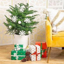 CostaFarmsNorfolkIslandPineDecoratedChristmasTree-HouseplantinDecorPlanter2-_2 - USA Mega Market