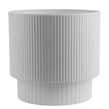 CostaFarmsSansevieria_SnakePlantHouseplantinDecorPlanter_45cd2bca-8cc5-4c75-be03-c54c0df1b153 - USA Mega Market