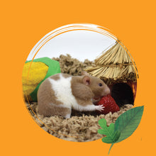 Crittercare Natural Paper Small Pet Bedding, 14 L