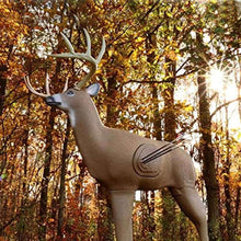 CrossbowShooterBuck3-DTarget-SpecialHigh3-_4 - USA Mega Market