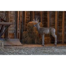 CrossbowShooterBuck3-DTarget-SpecialHigh5-_6 - USA Mega Market