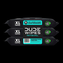 DUDE Flushable Wipes, Extra Large Mint Chill Wet Wipes, 48 Count, 3 Pack (144 Total)