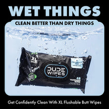 DUDE Wipes Fragrance Free Plus Odor Control, XL Wet Wipes, 48 Count, 5 Pack