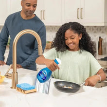 DawnPlatinumPlusPowerwashDishSoapSpray_FreshClean_1StarterKit_2Refills2 - USA Mega Market