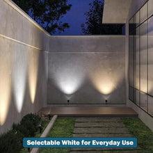 Deck Impressions Solar Spotlight with Detached Solar Panel, 4-Pack