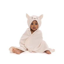 DisneyBabyWishesandDreamsCharacterInfantBabyBathSetwithHoodedTowelandWashcloths_3-Piece_OneSize2 - USA Mega Market