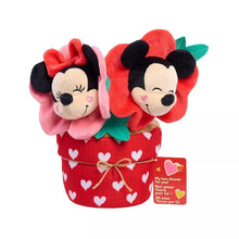 DisneyValentineBloomingPottedPlush1 - USA Mega Market