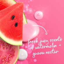 DoveBodyWashWatermelon_Guava_20floz2 - USA Mega Market