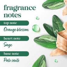 Dove Limited Editon FIFA Body Scrub Palo Santo & Sage Oil For Exfoliated & Hydrated Skin, 15 oz