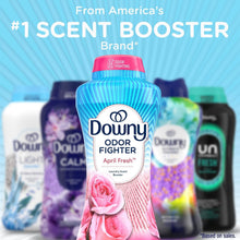 Downy Odor Fighter In-Wash Laundry Scent Booster Beads, April Fresh, 26.3 oz.