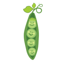 Dr. Brown's Peapod Teether & Training Toothbrush, Soft 100% Silicone, BPA Free, 3m+, 1 Pack