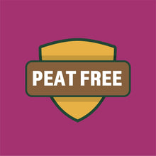 EXPERT-GARDENER-ORGANIC-RAISED-B4 - USA Mega Market