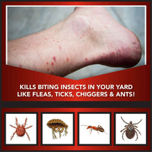 Eliminator-Ant-Flea-Tick-Killer2-aec47ebf-a2f6-4217-822d-d56a239913ab-_3 - USA Mega Market