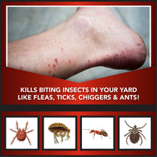 Eliminator-Ant-Flea-Tick-Killer2_aec47ebf-a2f6-4217-822d-d56a239913ab - Brands For Less USA