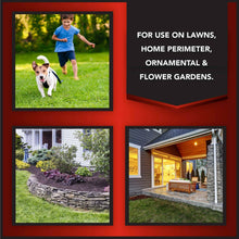 Eliminator Ant, Flea & Tick Killer Plus Lawn Insect Granules Pesticide