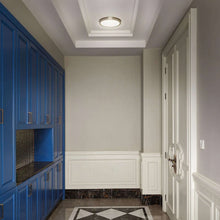 Energetic 14” Slim LED Flush Mount Light Fixture