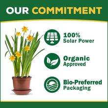 Espoma-Organic-Holly-Tone-for-Ev6-_7 - USA Mega Market