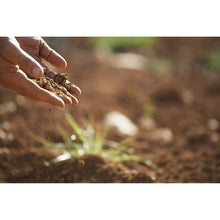 Espoma-Organic-Soil-Acidifier-64 - USA Mega Market