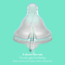 Evenflo Balance + Standard Neck Plastic Baby Bottles, Clear, BPA-Free, 9 oz