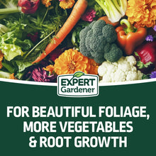Expert Gardener All Purpose Plant Fertilizer, 10-10-10 Fertilizer