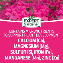Expert Gardener Azalea, Camellia & Rhododendron Plant Food Fertilizer 10-8-8, 4 lb.