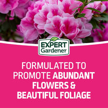 Expert-Gardener-Azalea-Camellia4 - USA Mega Market