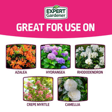 Expert Gardener Azalea, Camellia & Rhododendron Plant Food Fertilizer 10-8-8, 4 lb.