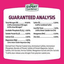 Expert-Gardener-Azalea-Camellia7 - USA Mega Market